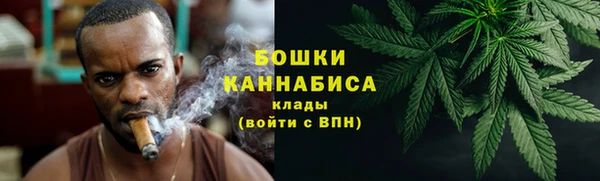 шишки Наволоки