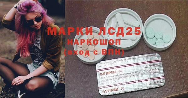 шишки Наволоки