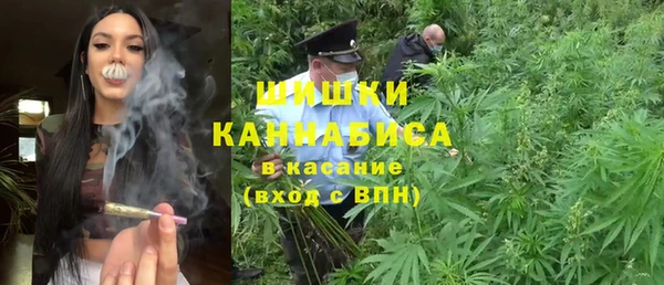 сатива Нефтекумск