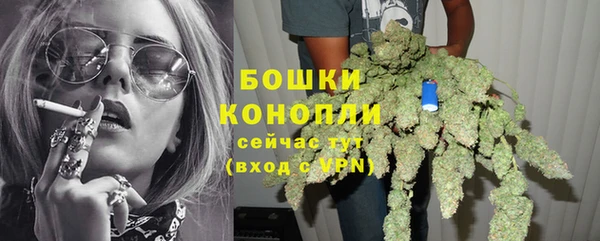 трава Надым