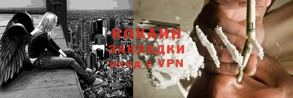 шишки Наволоки