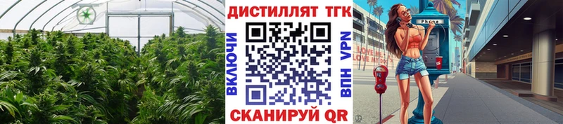 Купить где  Севск  Дистиллят ТГК THC oil 
