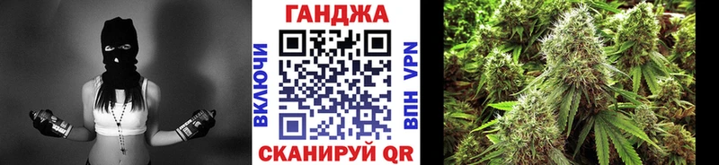 Купить где  Севск  МАРИХУАНА семена 